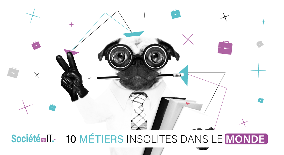 10 METIERS INSOLITES DANS LE MONDE - royaume unis- iran - chine - australie - emploi - job