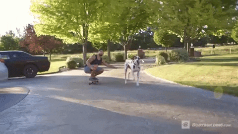 giphy (1)