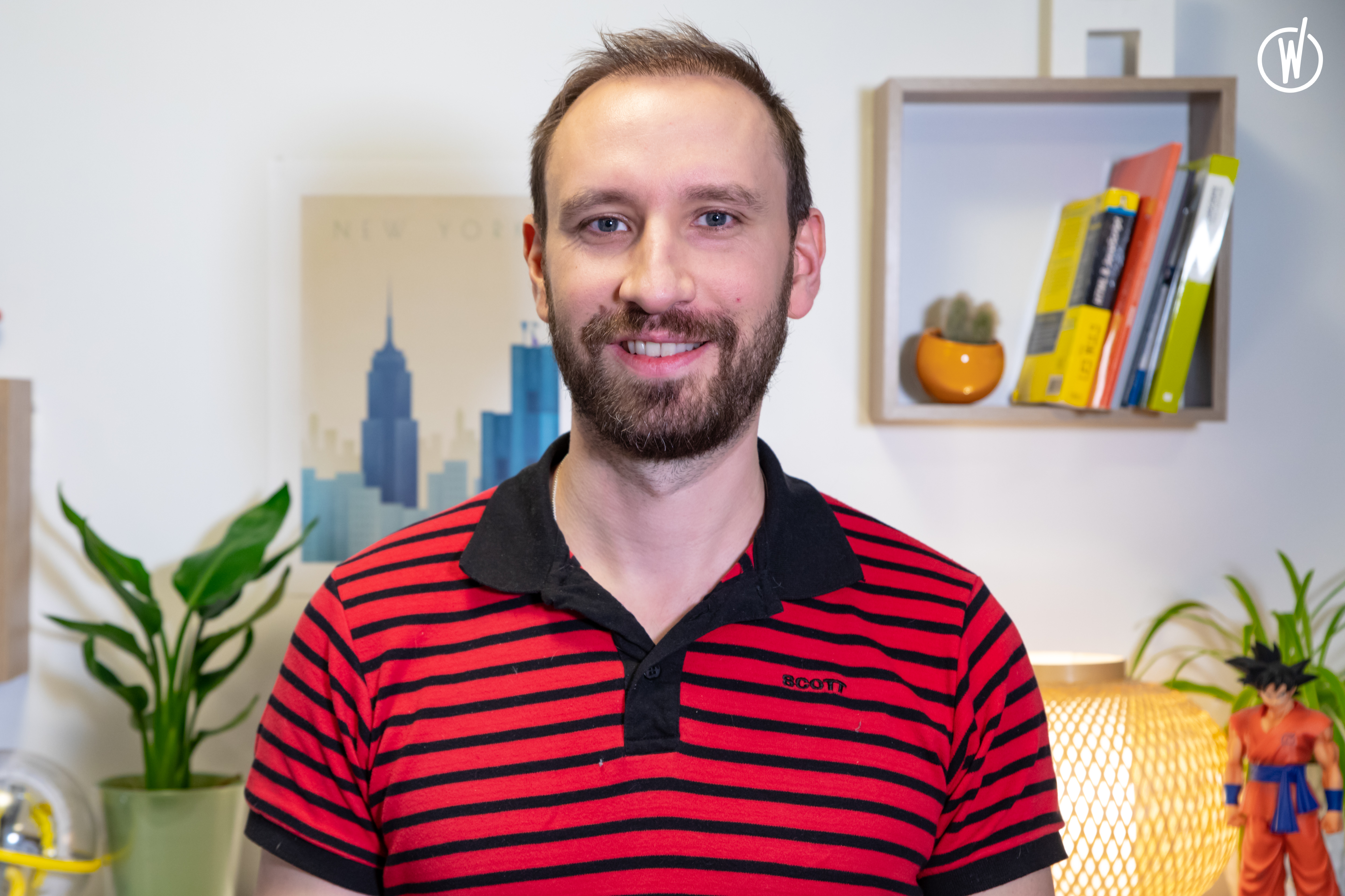 Blog Golden Bees Sebastien Accambray